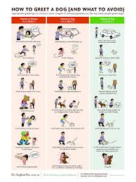How To Greet A Dog Poster Dr Sophia Yins Chart On How To