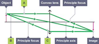 Image result for Describe how you would determine the focal length of a thin converging lens with the help of a plane mirror.  Illustrate with a ray diagram
