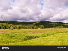 Find the perfect grassy field fields stock photo. Grassy Field Front Image Photo Free Trial Bigstock