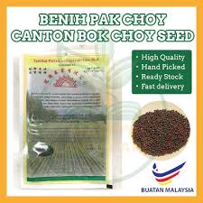 Health (uk) symbiotica speciality ingredients sdn. Benih Pak Choy Canton Bok Choy Seed Lazada