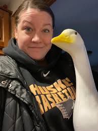 This group started randomly appearing