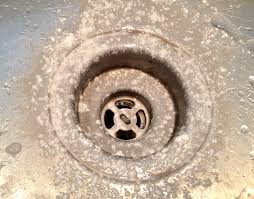 remove rust from a stainless steel sink