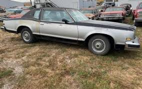 Image result for Blue Firemist 1978 Buick