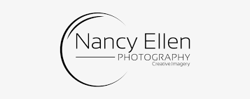 Check spelling or type a new query. Bold Modern Professional Photography Logo Design Circle Transparent Png 595x385 Free Download On Nicepng