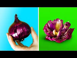 Erfahre Wie Du Nachspeisen Fruchte Und Gemuse Wunderschon Anrichtest Diese Rezepte Sind Ein Gaumenschmaus Partyhappchen Fingerfood Lebensmittel Kulinarisch