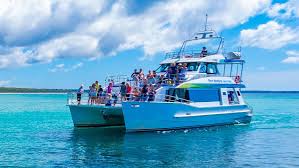 1 5 Hour Dolphin Tour Jervis Bay Epic Deals And Last Minute Discounts