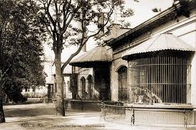 Amtsgericht köln vertreten durch den vorstand: Kolner Zoo Unternehmen