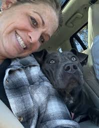 Adopting a dog from rescue