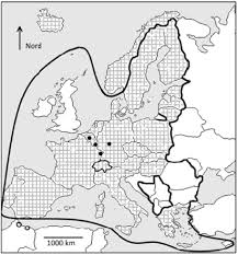 Check spelling or type a new query. Decouvre Les Sujets Du Bac D Histoire Geographie Enseignement Moral Et Civique Bac Professionnel Brevet Des Metiers D Art Phosphore