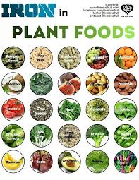 Iron Rich Plant Based Food Foods With Iron Health Food Nutrition