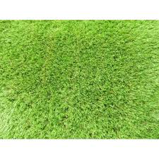 Trafficmaster Artificial Grass Synthetic Lawn Turf Roll Runner 26 In X 36 Ft Whole Roll 43766 In 2020 Synthetic Lawn Lawn Turf Artificial Grass