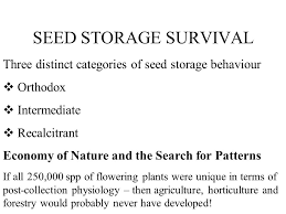 Check spelling or type a new query. Forest Tree Seed Research Ppt Video Online Download