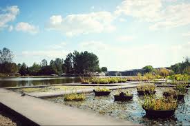 Voir plus d'idées sur le thème jardin public bordeaux le jardin public de bordeaux dans le brouillard automnal | blog lifestyle & famille bordeaux. Le Superbe Jardin Botanique De Bordeaux A La Bastide
