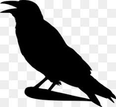 Crow Silhouette Png Free Download Penguin