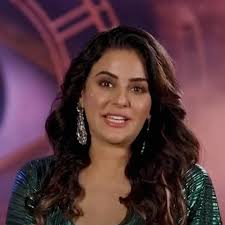 Sara Arfeen Khan: Didn't take up Bigg Boss 18 because I was out of work