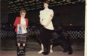 Maybe you would like to learn more about one of these? About Us Stony Creek Leonbergers