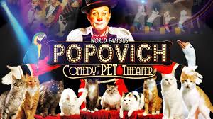 In media, l'esperienza richiede circa 1h10'. Las Vegas Family Show Gregory Popovich Comedy Pet Theater Youtube