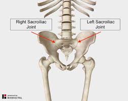 It's the one that's in 'agony' when you are doing the movement, as it is the one that is doing all the work. Lower Back And Hip Pain 7 Frequently Overlooked Causes
