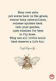 Birds Do It Bees Do It Song Lyrics Pin By Sadie Stokes On Quotes Sayings Song Lyrics Poems Nature Quotes Words Favorite Words