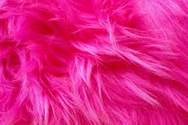 We did not find results for: Neon Pink Neon Colors Wiki Fandom