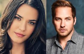 FOX Development Board