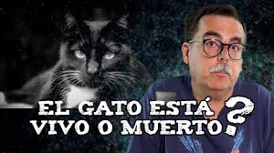 Experimento Del Gato Muerto Viernes De Morsa Youtube
