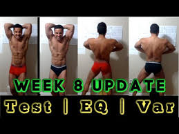 Test and winstrol cycle results. 8 Week Update Testosterone Equipoise Anavar Cycle Progress Results Youtube