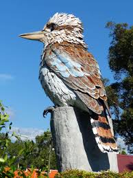 Australiaitsbig Big Kookaburra Kurri Kurri Nsw Australia Australia Travel Visit Australia Australian Wildlife