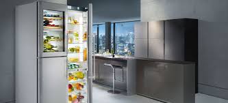 European Appliances Are At The Forefront Of Technology And Style Germany Spain And Italy Have Companies Tha European Appliances Refrigerator Brands Appliances