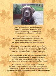 What to give for loss of pet. Pet Memorial Needle Felted Rainbow Frame Dog Poems Dog Quotes Dogs