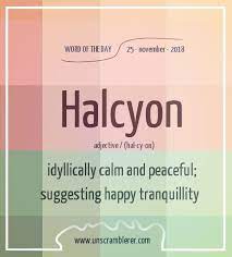 Halcyon Good Vocabulary Words Dictionary Words Interesting English Words
