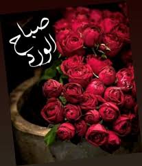 صباح الورد Red Roses Flowers Beautiful Roses