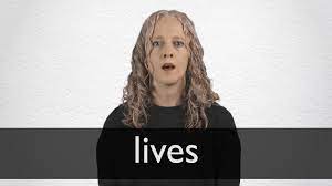 Lives is the lincolnshire charity that supports 700+ highly trained and dedicated volunteers who deliver vital care in those first critical moments. Lives Definition And Meaning Collins English Dictionary