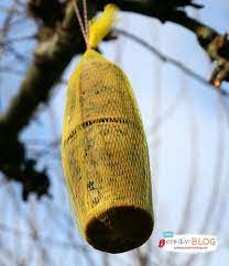 Pin On Nature Crafts