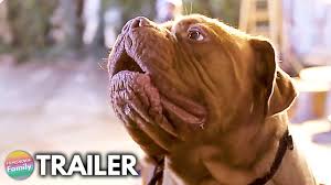 Turner's furious boss is pleased with him again and makes turner and hooch an official police unit. Turner Hooch 2021 First Look Trailer Disney Buddy Cop Action Comedy Series Youtube