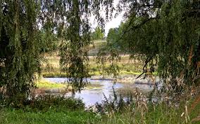 Die beste reisezeit für einen urlaub in lettland ist zwischen ende mai und mitte september. Foto Lettland Natur Fluss