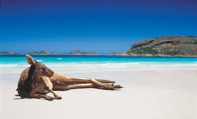 Western Australia S Sea Levels Rise Freak Scientists Out Australian Beach Australia Travel Australia