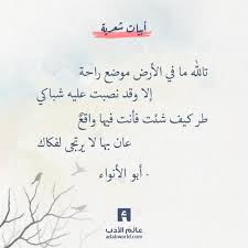 طر كيف شئت فأنت فيها واقع أبو إسحاق الإلبيري عالم الأدب Wisdom Quotes Life Wisdom Quotes Ali Quotes