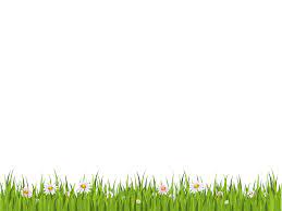 Green grass, png transparent background. Green Grass On White Background Png Transparent Background Free Download 4752 Freeiconspng