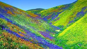 We did not find results for: Valley Of Flowers National Park Uttarakhand Video Dailymotion