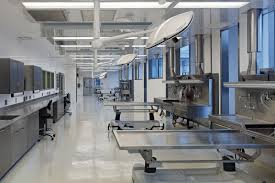 The term forensic science involves forensic (or forensis, in latin), which means a public discussion or debate. Consolidated Forensic Laboratory Hok