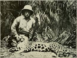 Dos jaguares encadenados en un bote en cancún, méxico. Where Jaguars Are Killed New Common Factor Emerges Chinese Investment The New York Times