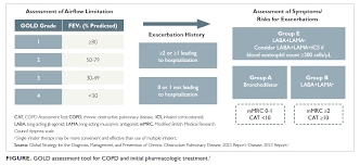 Image result for COPD Exacerbation Prevention