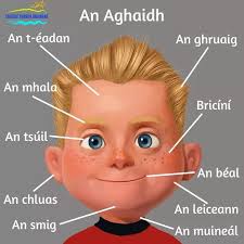 140 Irish Language ideas