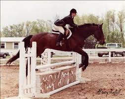 Norman Brinker Obituary (2009)