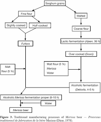 Characteristics Of African Traditional Beers Brewed With