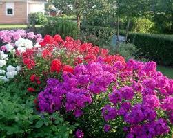 Pin By Jenny Gulke On Gardens Amazing Landscaping Ideas Small Backyard Landscaping Easy Landscaping