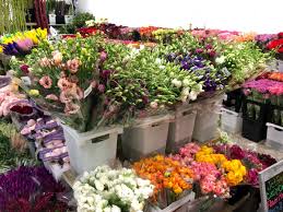 Miami flowers wholesale, el paso, tx. Jet Fresh Flowers ×'×˜×•×•×™×˜×¨ The Jet Fresh Cash Carry Flower Market Has A Huge Selection Of Wholesale Flowers By The Bunch Or Box Come Visit The Amazing Olga And Nelson For