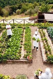 Kitchen Kitchen Garden Potager Garden Vegetable Garden