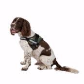 Julius K9 Dog Harnesses Strong Dog Harness Pets At Home